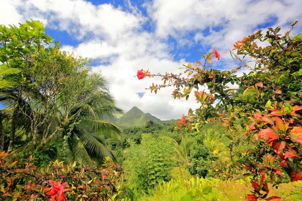 Titan - Adventure cruising