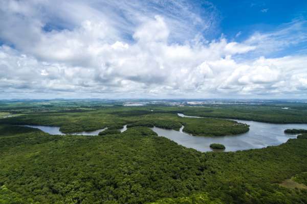 Amazon river