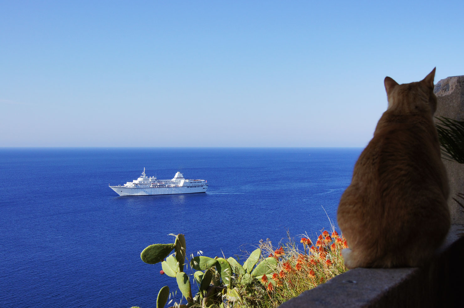 Voyages to Antiquity’s new winter 2018/19 sailings to feature ‘most-eclectic speakers yet’