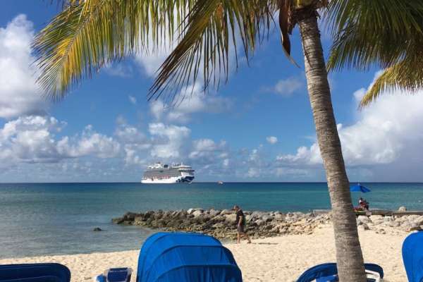 Caribbean, Princess Cruises, tropical, parrots, Jamaica, Tony Roberts