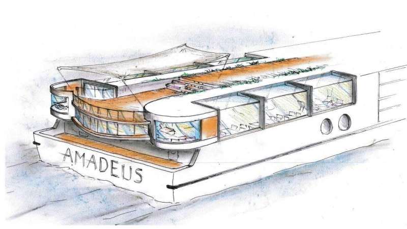 Amadeus, cruise, river cruise