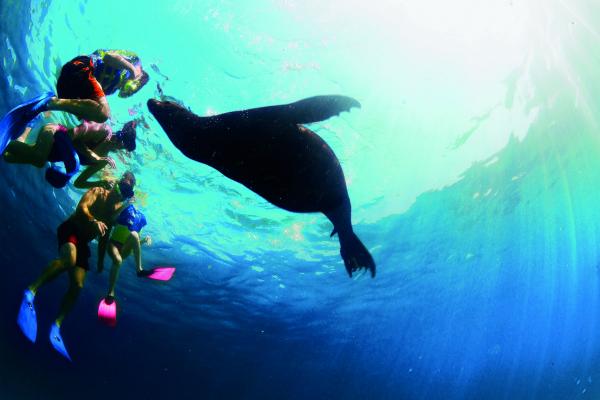 Ben Bouldin, Royal Caribbean International, Royal Caribbean, Caribbean, cruise, selling, agents, cruising