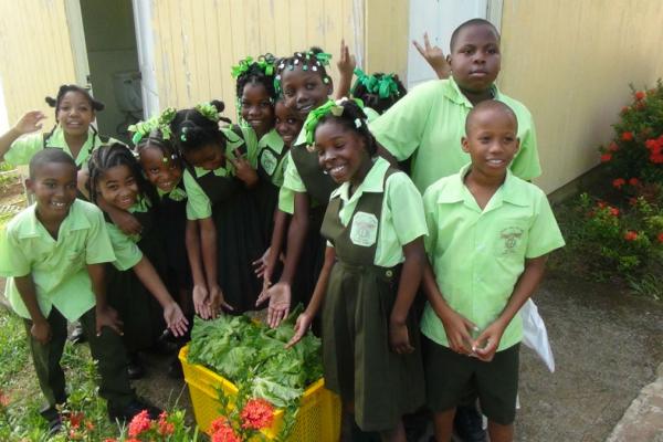 Fred Olsen, cruise, cruising, St Lucia, Caribbean, shore excursions,