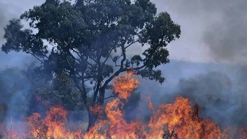 Australia fires, Australia evacuations