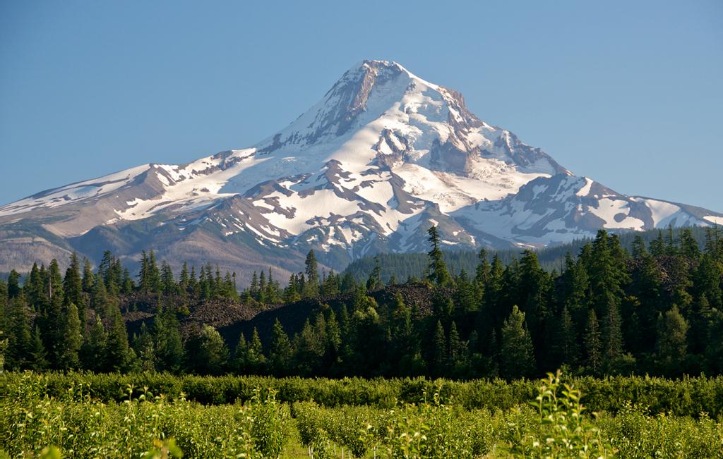 American Song: US cruise, Mount Hood